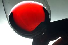 Foto: ALF PONCE / MDZ