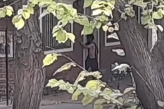 El momento en el que el sujeto intenta violentar un domicilio de Ciudad. Foto: Captura de video.