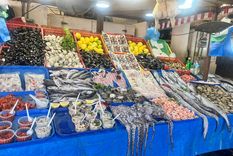 Caleta Portales uno de los lugares que nadie puede perderse Foto: Foto: Andrea Ginestar/MDZ Caleta Portales uno de los lugares que nadie puede perderse Foto: Foto: Andrea Ginestar/MDZ