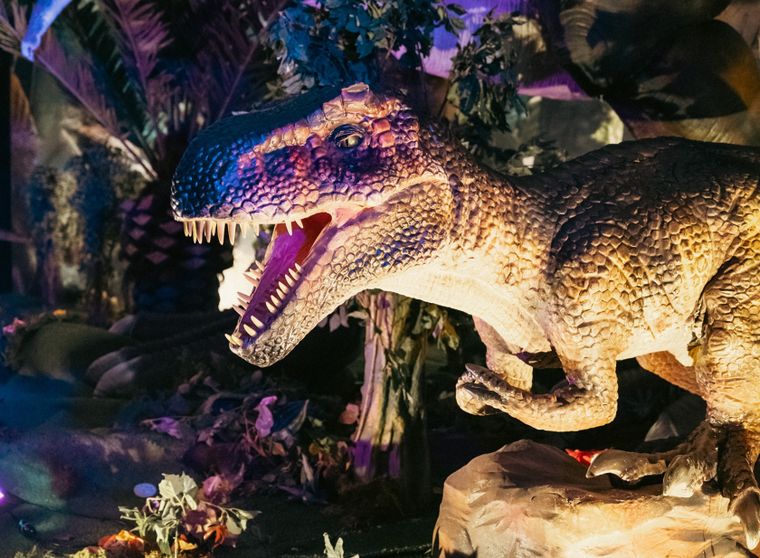 La exposición de Dinosaurios y el Mundo Jurásico se podrá disfrutar a partir del 9 de julio hasta el 3 de agosto. La exposición de Dinosaurios y el Mundo Jurásico se podrá disfrutar a partir del 9 de julio hasta el 3 de agosto.