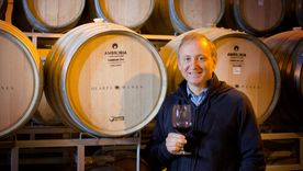 Maximiliano Hernández Toso: flamante presidente de Wines of Argentina.