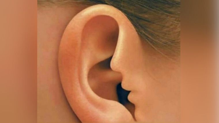 Test de personalidad