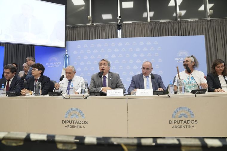 Tras las audiencias públicas por la Ley de Glaciares, convocan a sesión especial Tras las audiencias públicas por la Ley de Glaciares, convocan a sesión especial