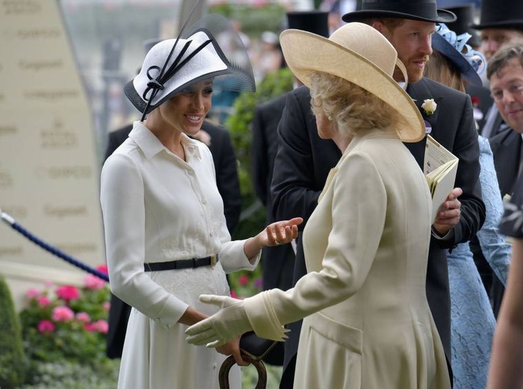 Meghan y Camilla: ¿se odian? Foto: notiulti.com