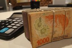 La opción de Arba permite saber cuántos pesos se pueden ahorrar por la adhesión a un sistema de cobro de impuestos. Foto: Walter Moreno / MDZ