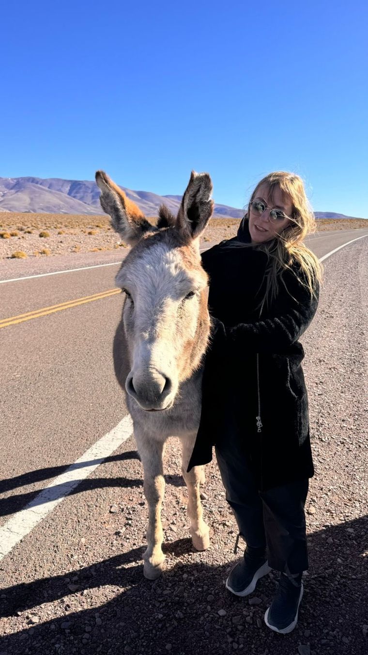 La imagen que utilizó Di Tullio para responderle a Luis Caputo Foto: X Juliana Di Tullio