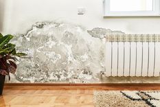 La humedad puede provocar graves problemas en las estructuras. Foto: Publicayo