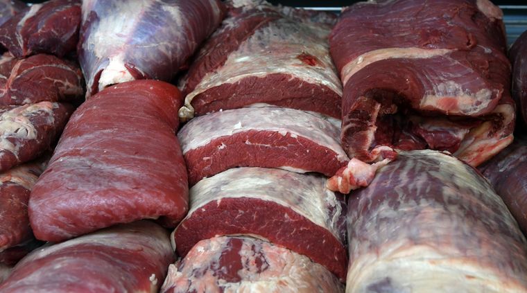 Foto: ALF PONCE MERCADO / MDZ