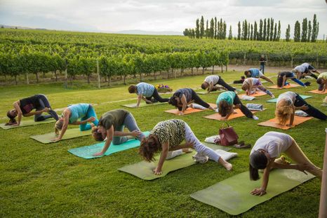 Yoga por los caminos del vino.