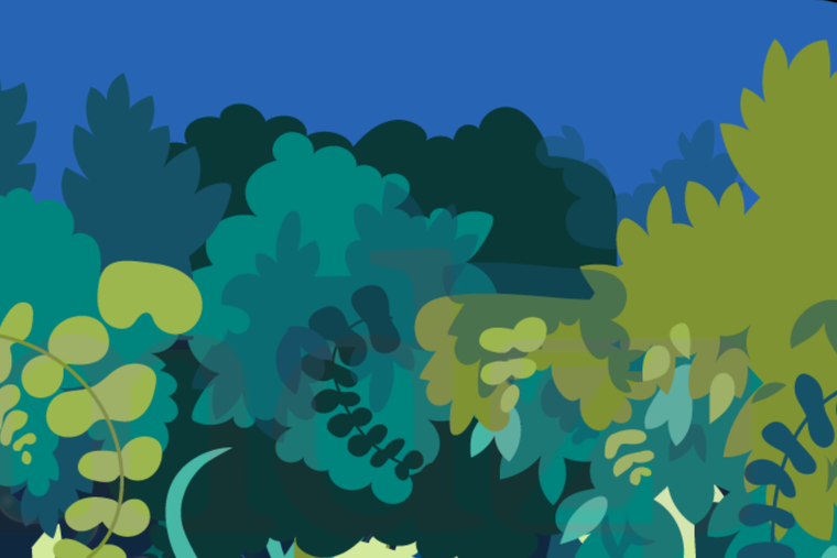 ACERTIJO VISUAL ACERTIJO VISUAL, RETO VISUAL, SERPIENTE Foto: MDZ ONLINE