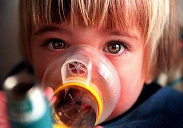 Los más chicos, los más afectados. Foto: Web