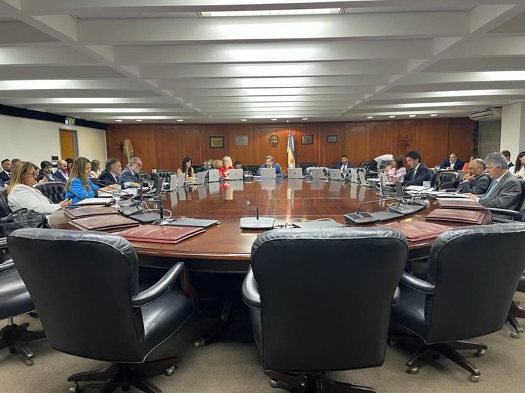 Consejo de la Magistratura.