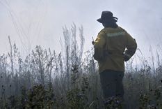 Foto: Télam Foto: Télam