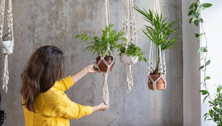 Las plantas colgantes son una clásica y hermosa tendencia en el interior del hogar (Shutterstock). Foto: Pixabay