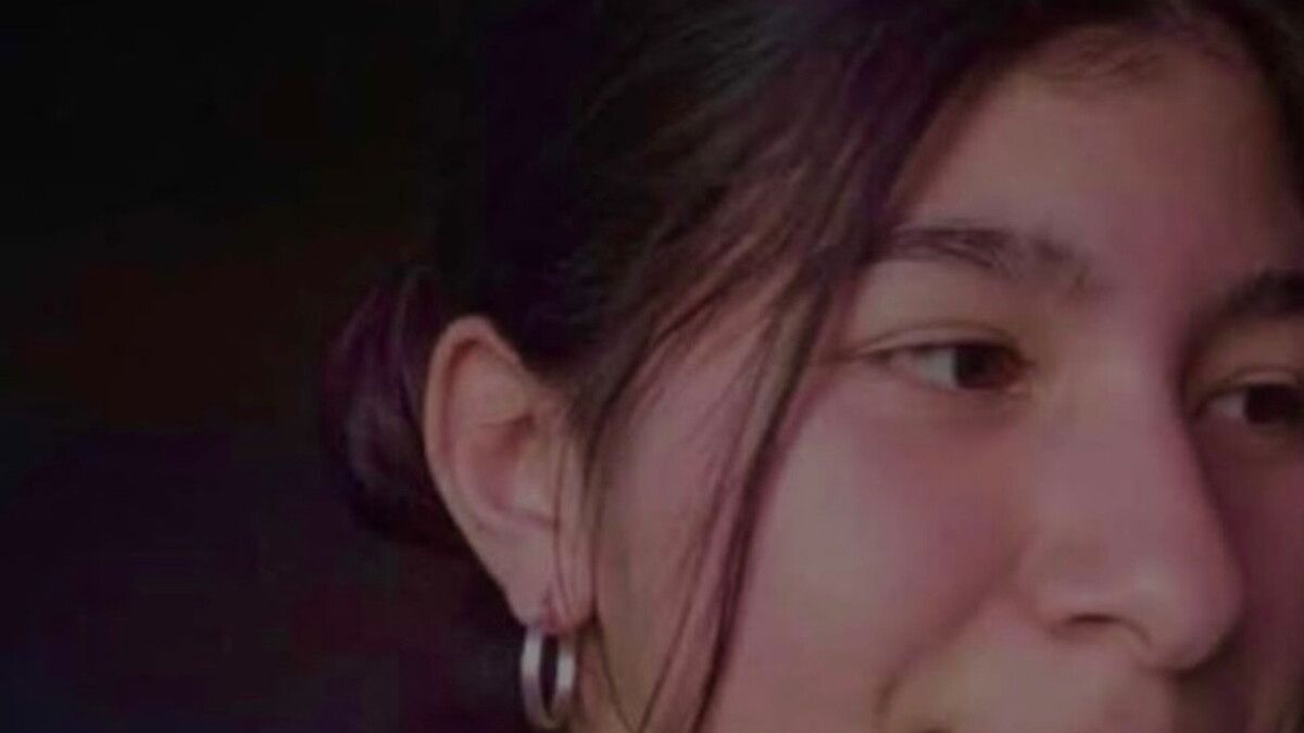 "No paramos de buscarla": el operativo contrarreloj para hal