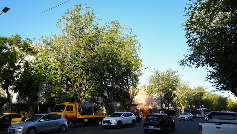 El buen tiempo se mantendrá durante la semana en Mendoza, con ascenso de temperatura hacia el jueves. El buen tiempo se mantendrá durante la semana en Mendoza, con ascenso de temperatura hacia el jueves.