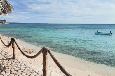 MDZol | caribe 3