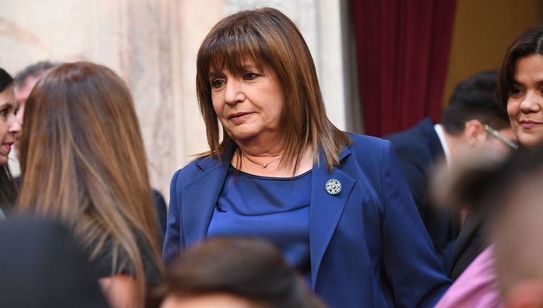Patricia Bullrich cuestionó la marcha universitaria y apuntó contra Martín Lousteau Foto: Prensa Senado