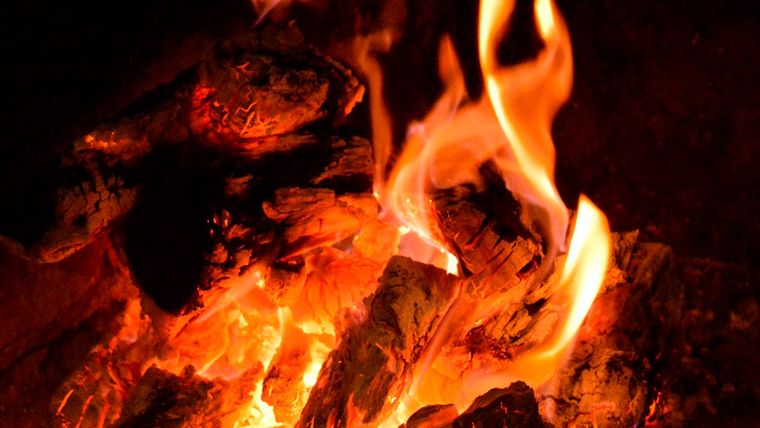 Inhalar humo de madera de nogal mientras se cocina un asado es peligroso. Foto: Pixabay - pixabay.com