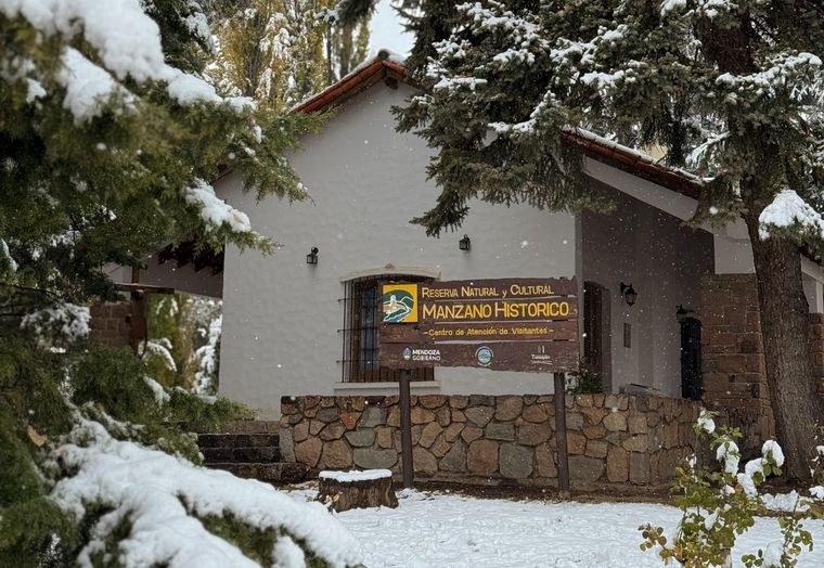 El Manzano Histórico se vistió de blanco tras las nevadas.
