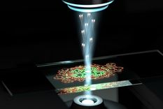 Foto: The University of Queensland