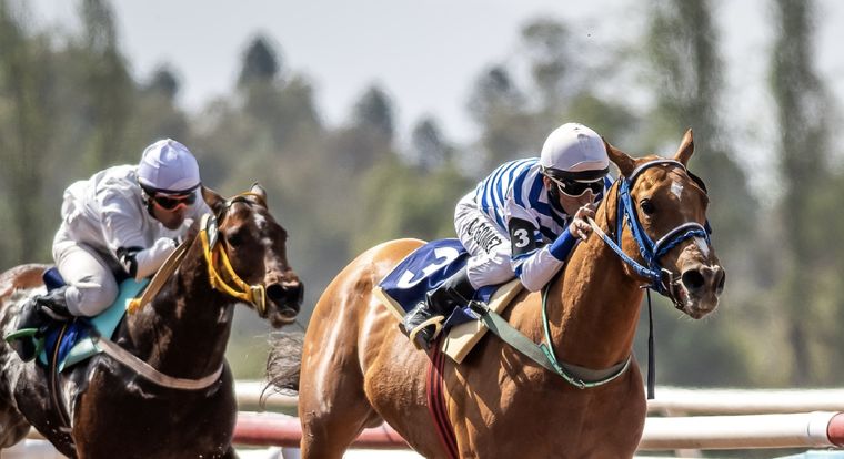 La favorita Babys Song ganó con solvencia en la séptima del programa  Foto: José Maluf