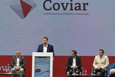 MDZol | Foto: Alf Ponce Mercado/MDZ