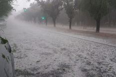 la agenda se pone verde: del plan de accion familiar a la ley yolanda