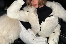 Después del evento gratuito en el que la cantante pop se presentó, el Gobierno porteño dejó de autorizar este tipo de espectáculos. Foto: Instagram: tinistoessel