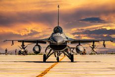 Foto: Shutterstock Foto: Shutterstock