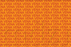ACERTIJO VISUAL ACERTIJO VISUAL, RETO VISUAL, PALABRA. Foto: MDZ ONLINE