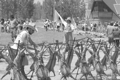 MDZol | Los chivos de Malargüe son famosos, ahora también por los fraudes.