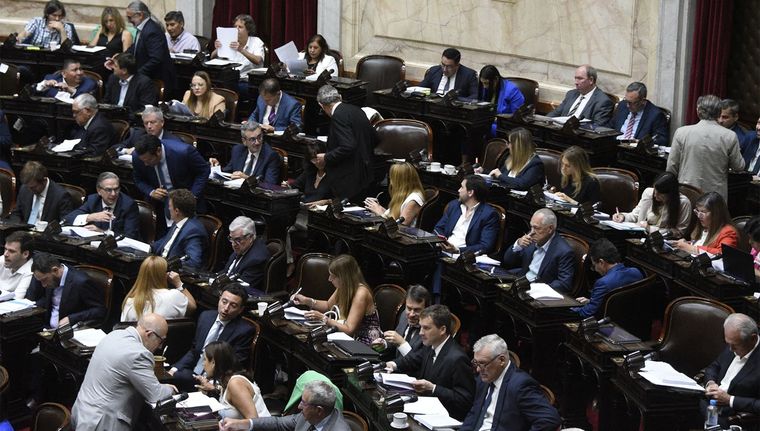 Se continúa tratando la ley en el recinto Foto: Juan Mateo Aberastain/MDZ