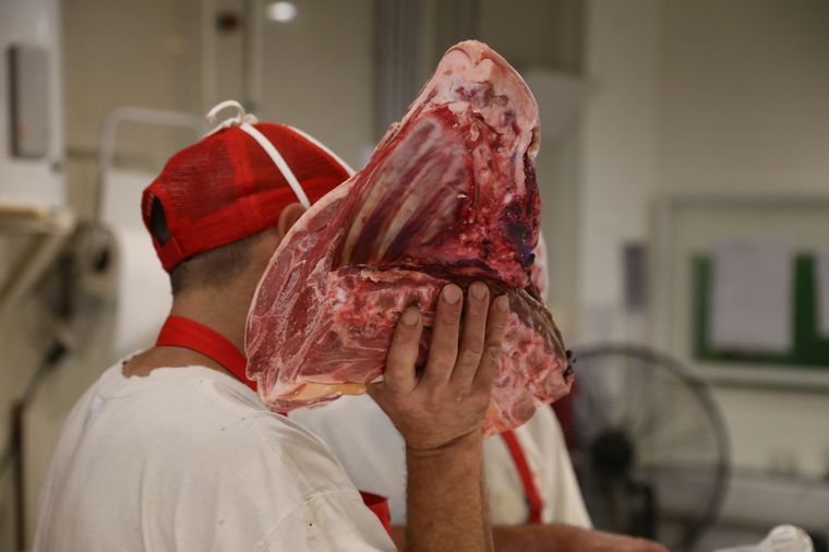 Foto: Maximiliano Ríos/MDZ