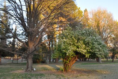 MDZol | Habrá un suave ascenso de la temperatura para los próximos días.