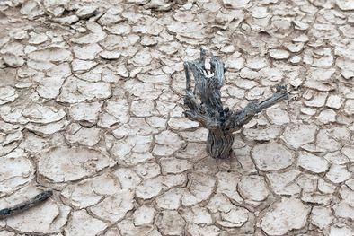 MDZol | Foto: ALF PONCE MERCADO / MDZ