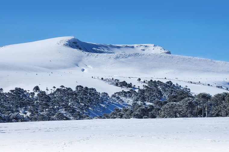 Parque de nieve Batea Mahuida. Parque de nieve Batea Mahuida.