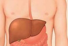 la hepatitis c es una epidemia en el mundo y en america latina