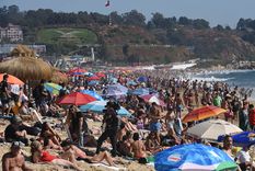 Con la presencia de tapiocas en la costa, las personas deberán tener mucho más cuidado a la hora de meterse al mar.