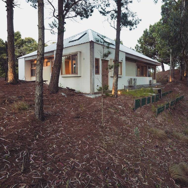 En la Costa Atlántica. Foto y videos: HanokArgentina