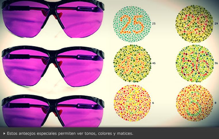 Foto: opticosweb.com.ar