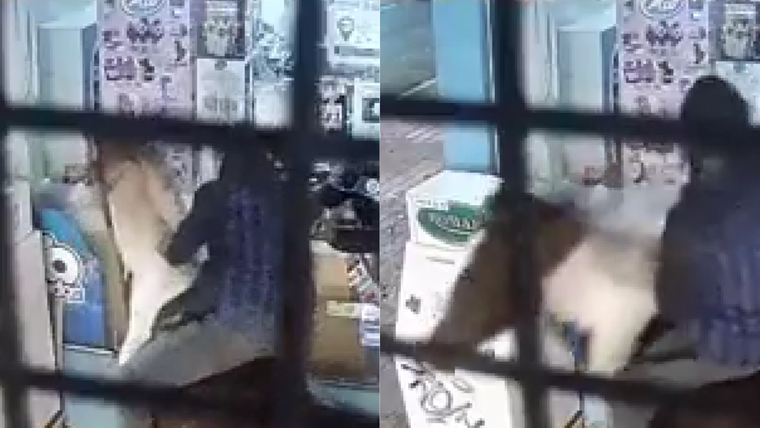 Dos hombres montados a caballo asaltaron un kiosco en Miramar.