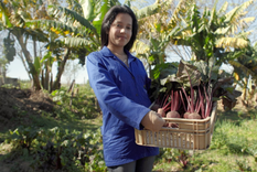 El programa busca apoyar proyectos innovadores y sustentables en los ámbitos de salud y alimentación.