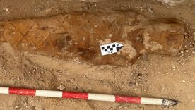 En Egipto descubrieron una etatua que podría pertenecer al faraón Ramsés II (Imagen ilustrativa). En Egipto descubrieron una etatua que podría pertenecer al faraón Ramsés II (Imagen ilustrativa).