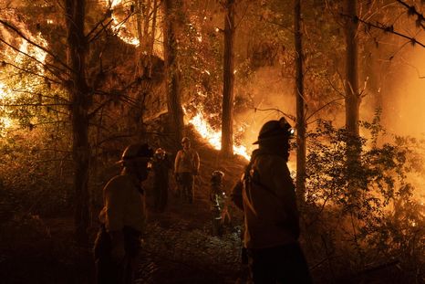 En la mayoría de los casos, los incendios forestales son intencionales (imagen ilustrativa)