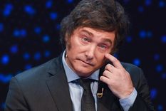 El referente rural Eduardo Buzzi, vaticinó un gran aumento del valor de la carne si se aplican las iniciativas de Javier Milei Foto: Noticias Argentinas