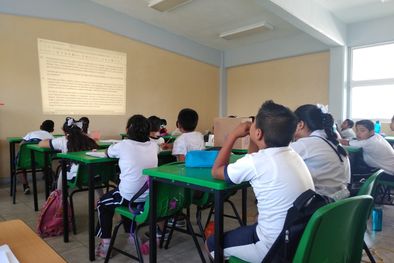 MDZol | Foto: Pixabay