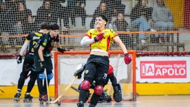 mendoza recibe a las promesas del hockey sobre patines mundial: arranque a puro espectaculo mendoza recibe a las promesas del hockey sobre patines mundial: arranque a puro espectaculo