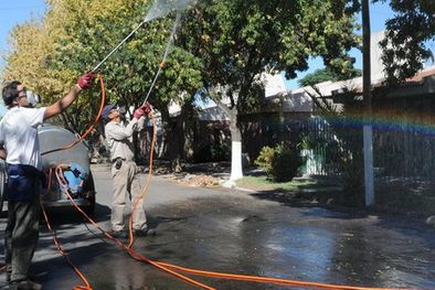 MDZol | En el Valle de Uco están alerta por el dengue. Foto: MDZ