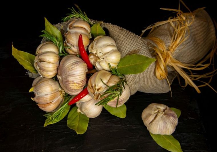 El ajo es un alimento que no debería faltar en tu dieta diaria Foto: Shutterstock